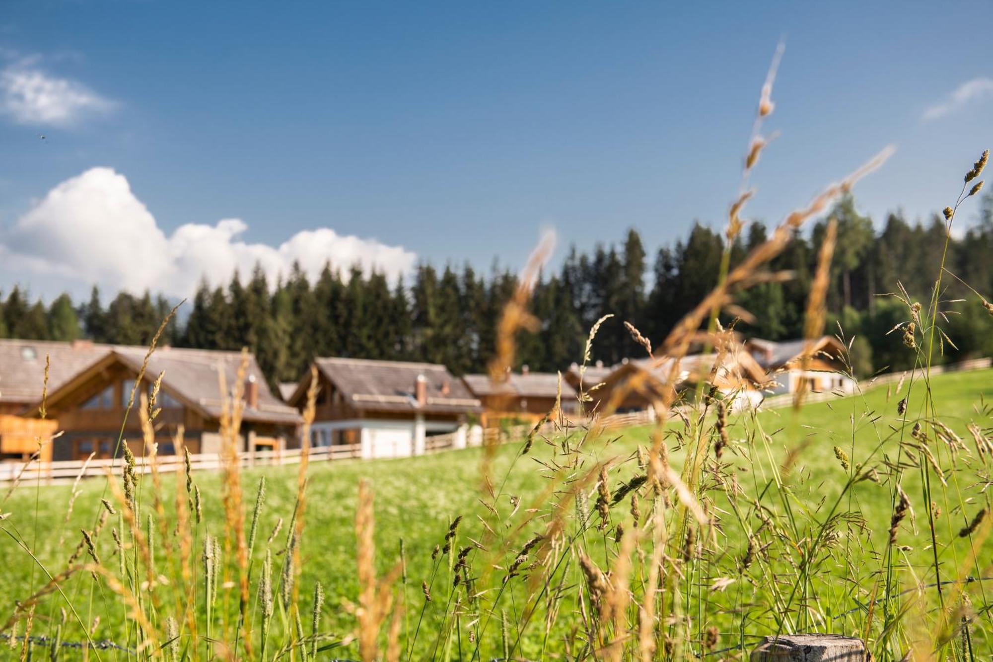 Lerchpeuntgut Alpenfreud Apartments Тамсвег Экстерьер фото